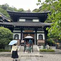 【 神奈川 / 鎌倉 】一回では見切れないほどの花の寺🌸