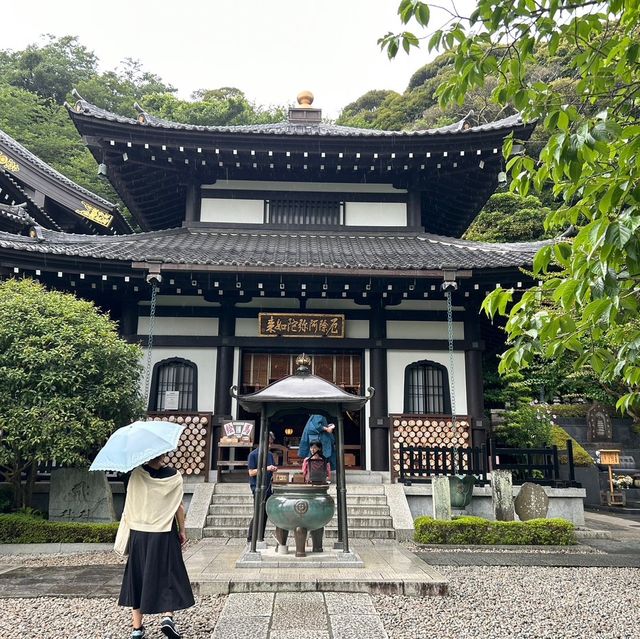 【 神奈川 / 鎌倉 】一回では見切れないほどの花の寺🌸