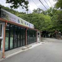 경기도 양주 장흥 백숙 맛집 송추 두메골