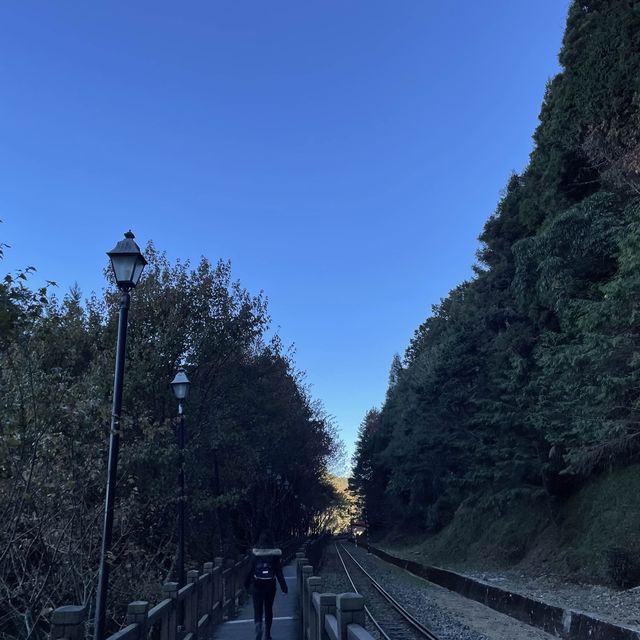 Catching the Sunrise at Alishan