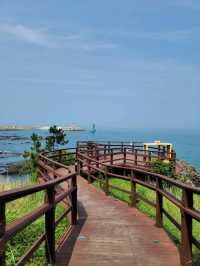 아름다운 바다위 그림같은 경주 양남 주상절리🪨🌊
