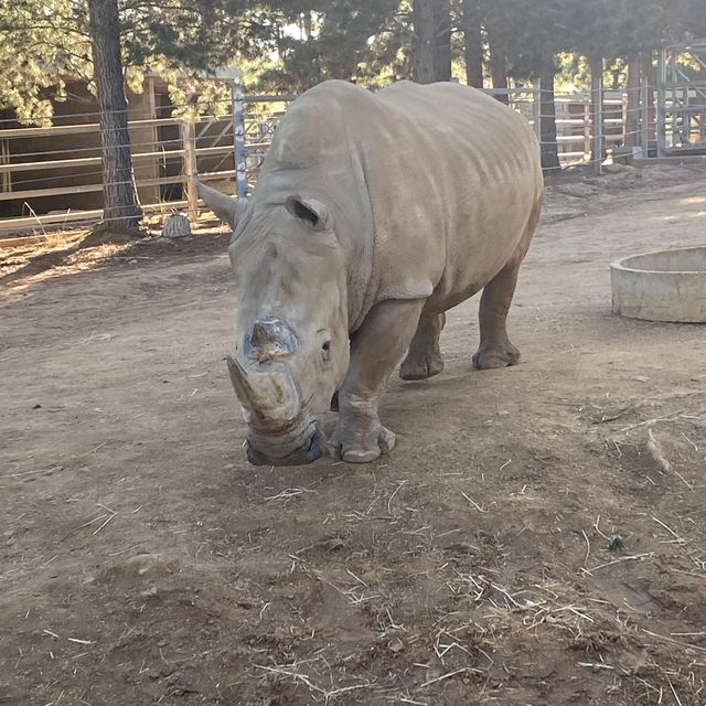 Zoo All day, Every day! 