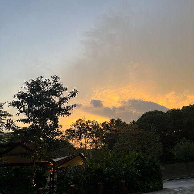 FIRST different experience in SINGAPORE 