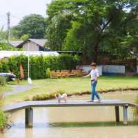 🐕🌳 วันนี้เราจะพาพี่หมีมาเที่ยวคาเฟ่ใกล้กรุงฯ
