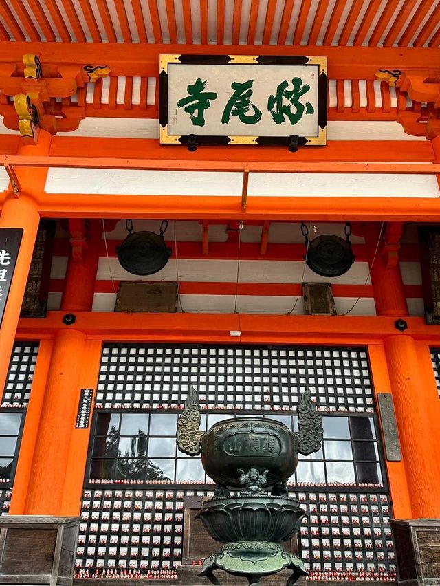 大阪最有特色之一❤️勝尾寺‼️超多達摩祈求順利😛