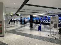 大阪　大阪観光　新千歳空港から伊丹空港へANA premium classでフライトしてきた！