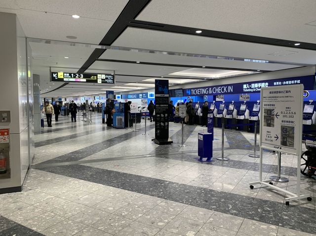 大阪　大阪観光　新千歳空港から伊丹空港へANA premium classでフライトしてきた！