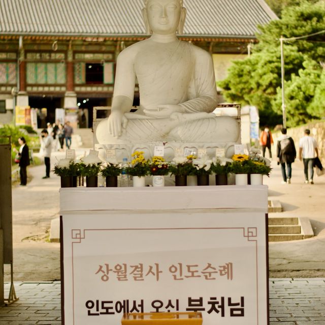 Seoul Solo Trip at Bongeunsa Temple 