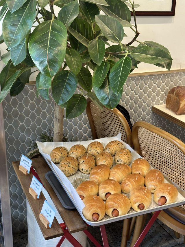 킨텍스 주변 건강한 빵 맛집 플레인🥐