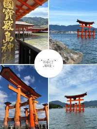 神聖的海上之旅⛩️⛩️🌊 嚴島神社
