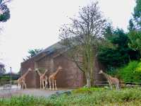 Best wildlife park in Belfast worth visiting 