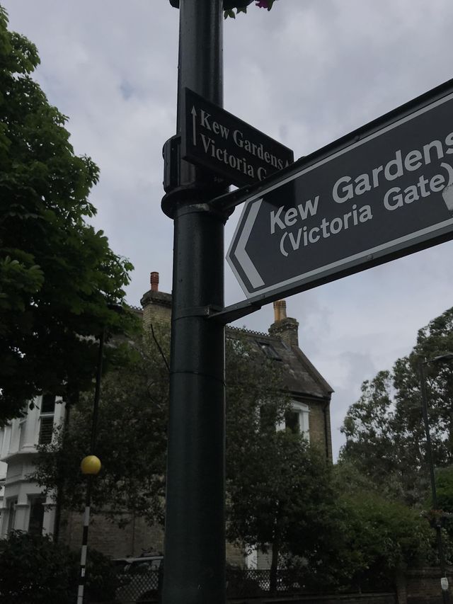 世界文化遺產之Kew Gardens‼️百年溫室❤️欣賞大同花卉