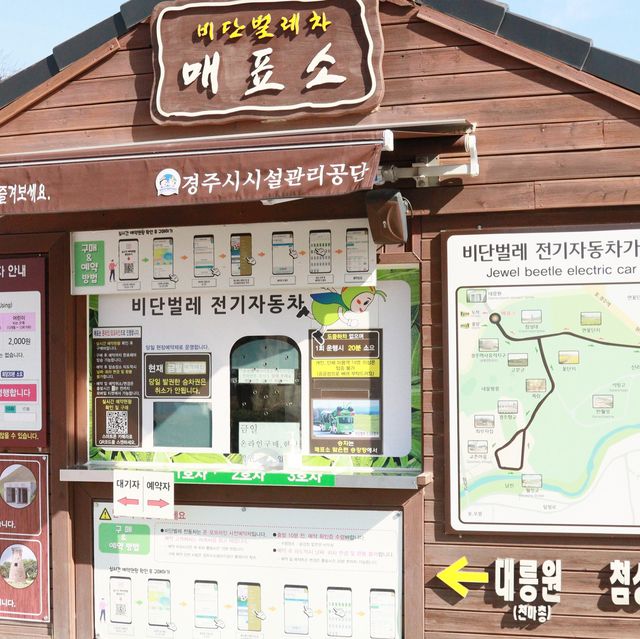 경주가면 꼭 가봐야하는 첨성대 ! 