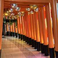 Dining sushi in the air