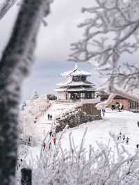 อันซีนเกาหลี อุทยานแห่งชาติ Doegyusan หิมะฟินๆ