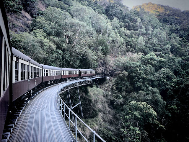 🚂開恩茲庫蘭達觀光火車：百年列車，穿梭雨林🚂