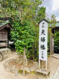【島根県/八重垣神社】2023年行ってよかった！島根県の神社③