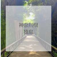 【横浜観光がマンネリ化したら!】