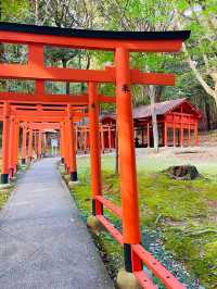 【奈良県/橿原神宮】2023年行ってよかった！奈良県の神社①