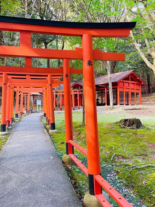 【奈良県/橿原神宮】2023年行ってよかった！奈良県の神社①