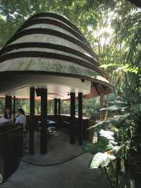 Wyah Art Cafe
