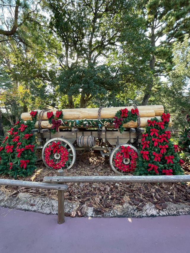 【2023年行ってよかった！】40周年イベント開催中のディズニーランドクリスマス2023