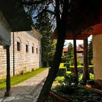NATIONAL SYMBOL OF BULGARIA!!
