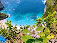 峇里島知名網美打卡熱點精靈沙灘恐龍島 Nusa Penida Kelingking Beach