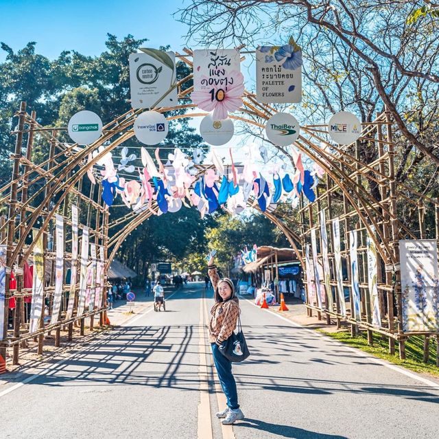 ชวนเที่ยวงานดอกไม้ ที่สวนแม่ฟ้าหลวง ดอยตุง
