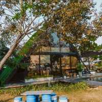 คาเฟ่มินิมอล มีน้องปลาคาร์ป