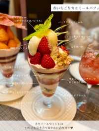 【東京/品川】上から下までぎっしりいちご🍓の贅沢パフェ