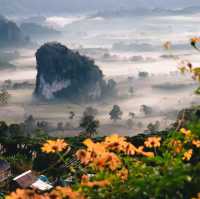 ผาช้างน้อย-ภูลังกา  