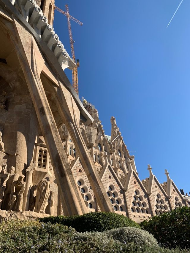 🇪🇸Stunning Sagrada Familia🇪🇸