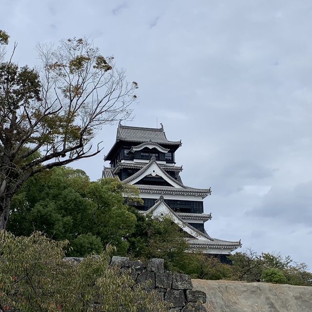 Kumamoto Castle 🧸🧧