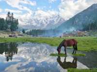 Fairy meadows 