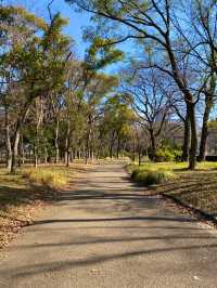 観光におすすめぐるっと散策！大阪城公園