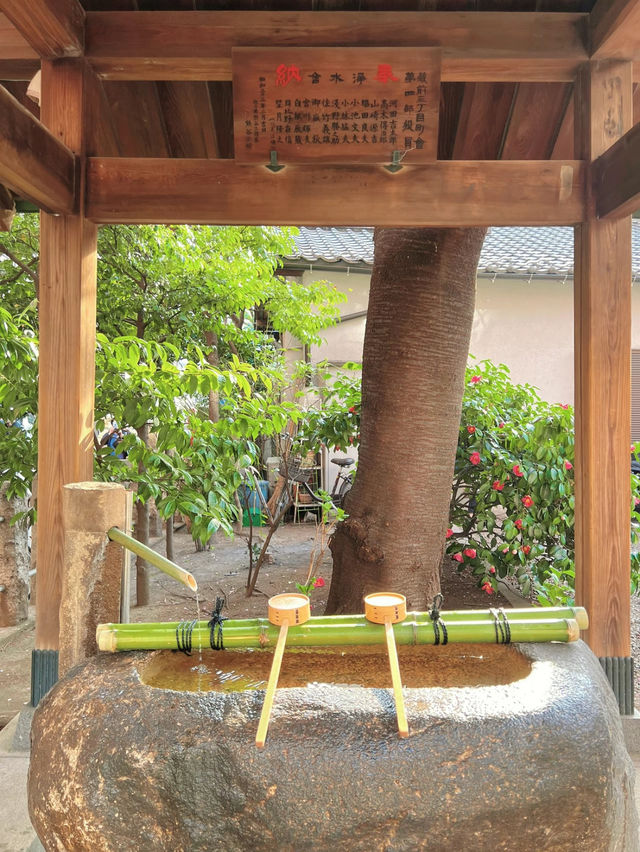 【東京】桜とミモザのコラボ🌸もふもふに癒されたい人集まれー!!