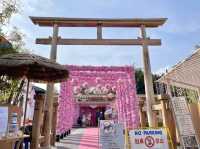 Kyoto shi Cafe คาเฟ่ญี่ปุ่นกลางเมืองเชียงราย