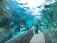 Asahiyama Zoo 