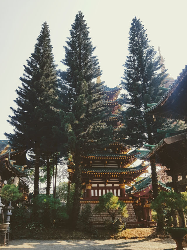 Minh Thanh pagoda - hidden place in Pleiku