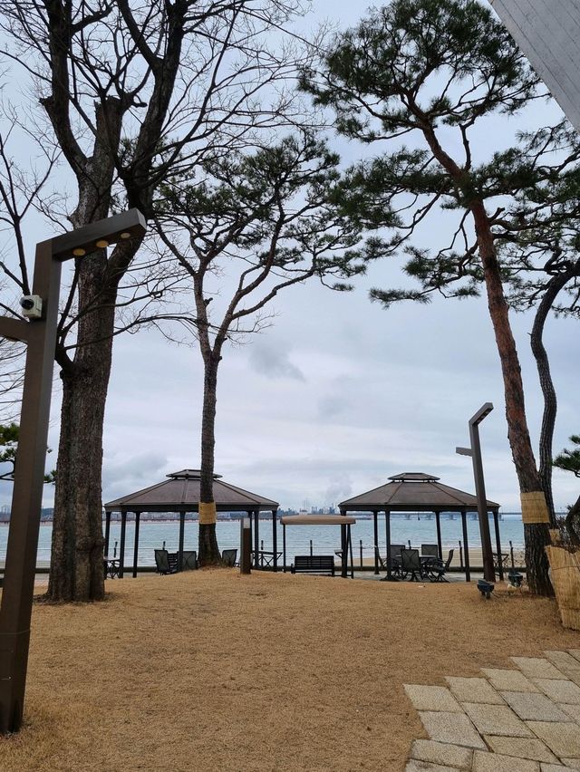 🎪ೆ➴𖤐당진 아름다운 정원 오션뷰 카페 헤어름₊🎠࿔*:･ﾟ 