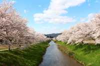 【都ホテル 岐阜長良川】ホテルスタッフおすすめ観光コース 「ぎふ旅巡り」vol.1『山県市近郊　春・満喫コース』