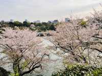 Chidorgafuchi Moat