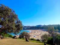 Coogee Beach