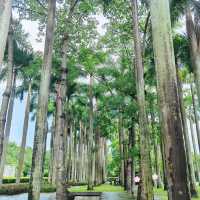 澳門大潭山郊野公園：親山體驗，美好記憶