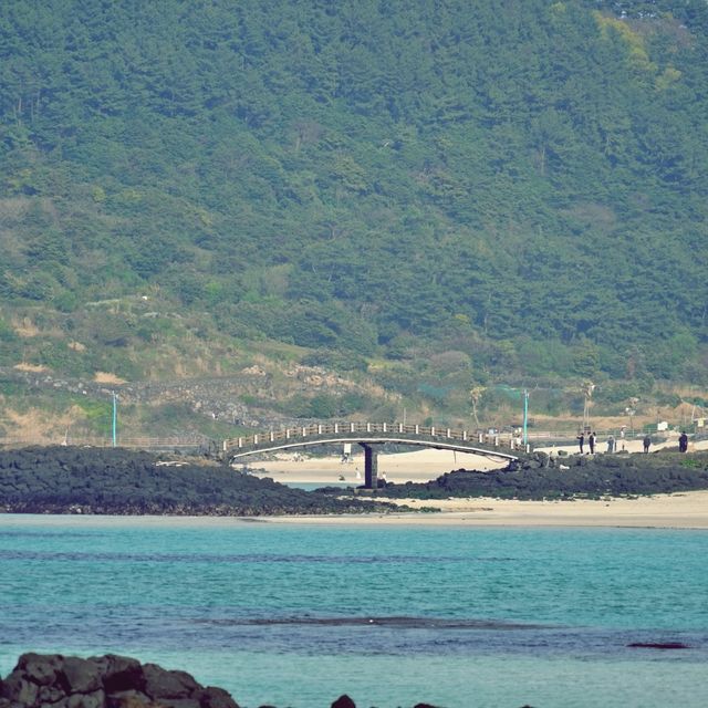 🌊 함덕해변, 제주도의 푸른 보석