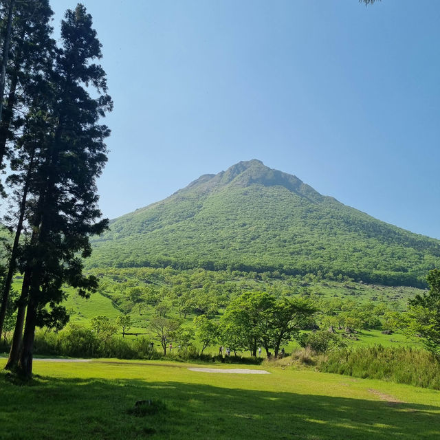 후쿠오카 인기 관광지 유후다케⛰️