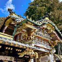 🏯 Unveiling the Splendor of Toshogu Shrine 🌸🍃