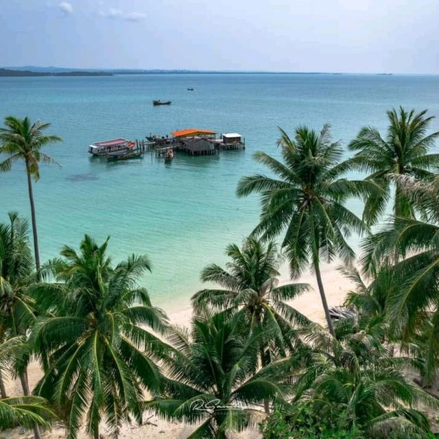 Cambodia Pineapple Island