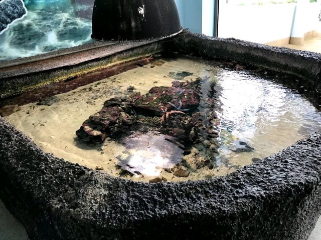 Phuket Aquarium 